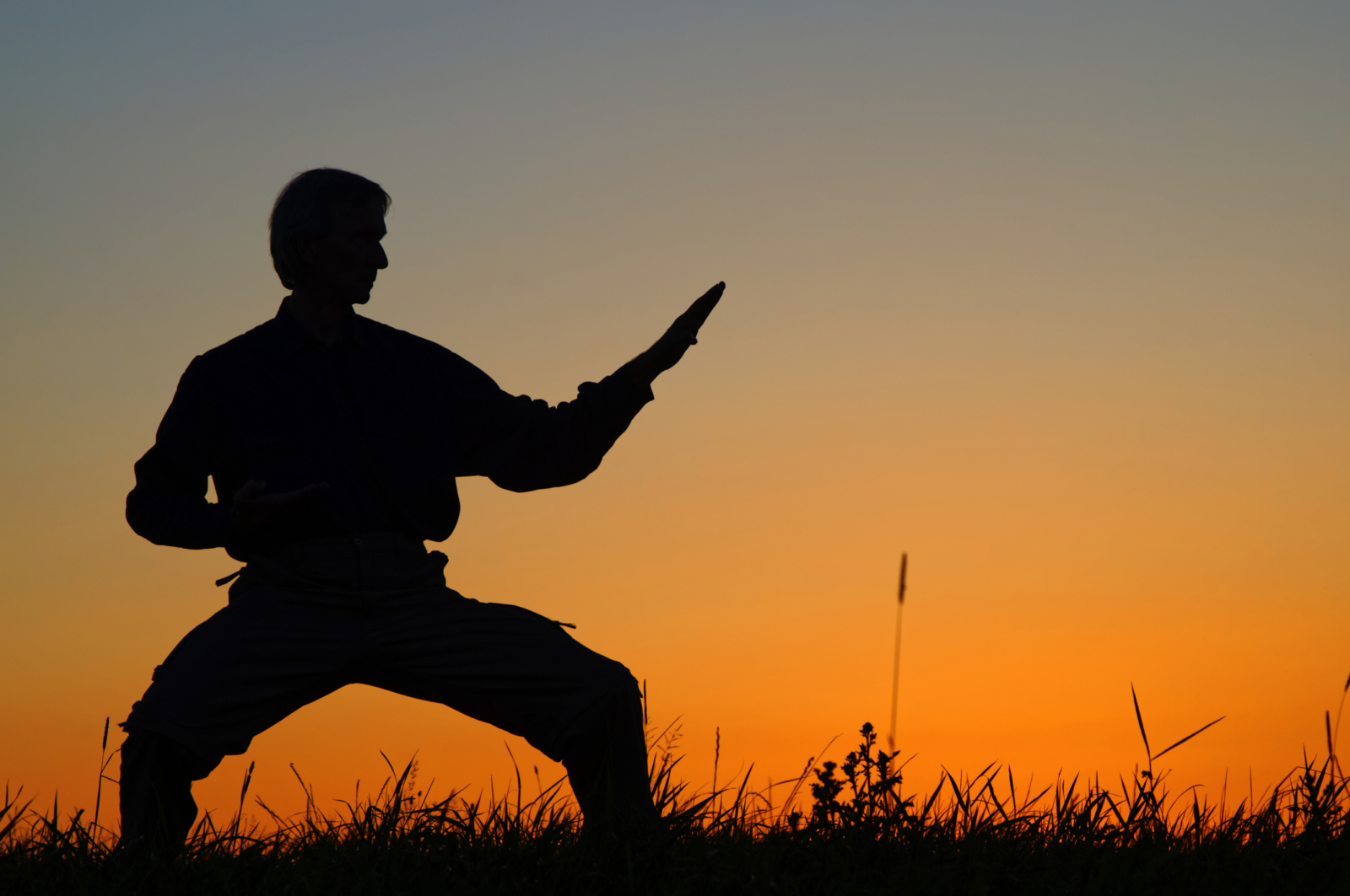 Taichí, la meditación activa