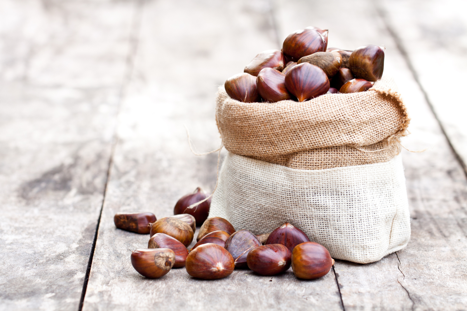 Castañas, el fruto de otoño