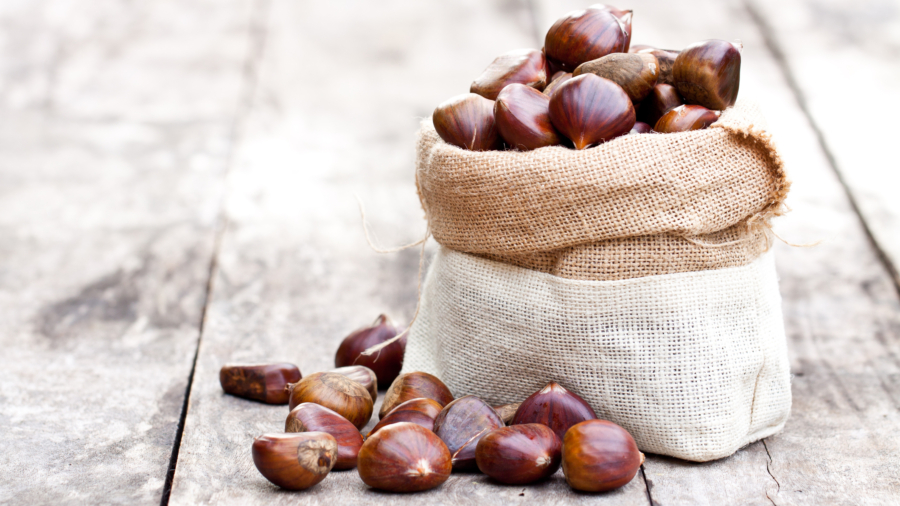 Castañas, el fruto de otoño