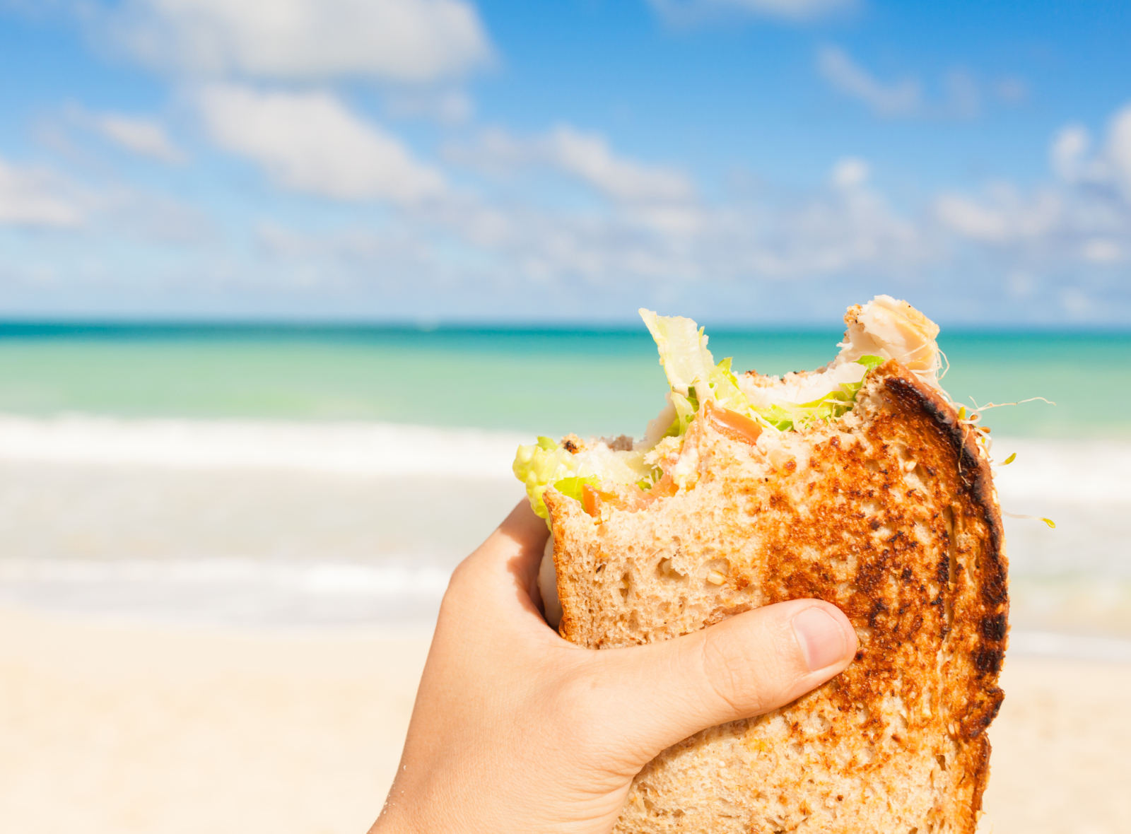 Comidas sencillas para ir a la playa
