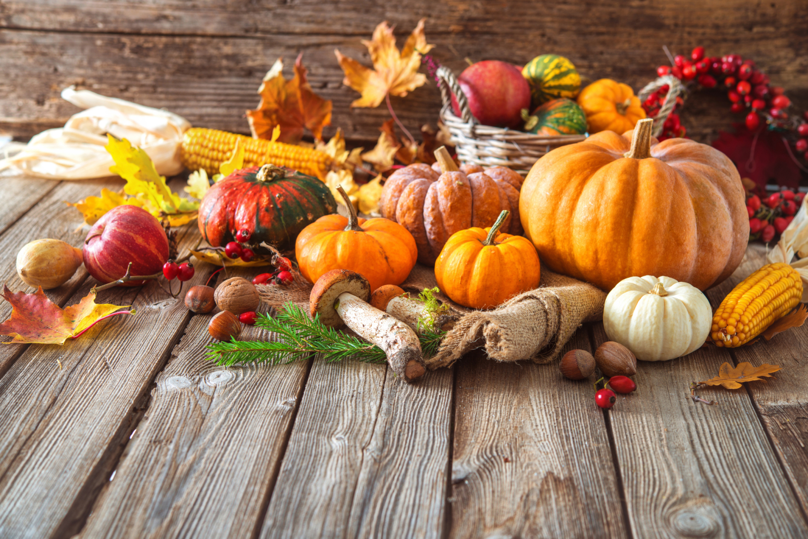 Escoge alimentos apropiados para el otoño