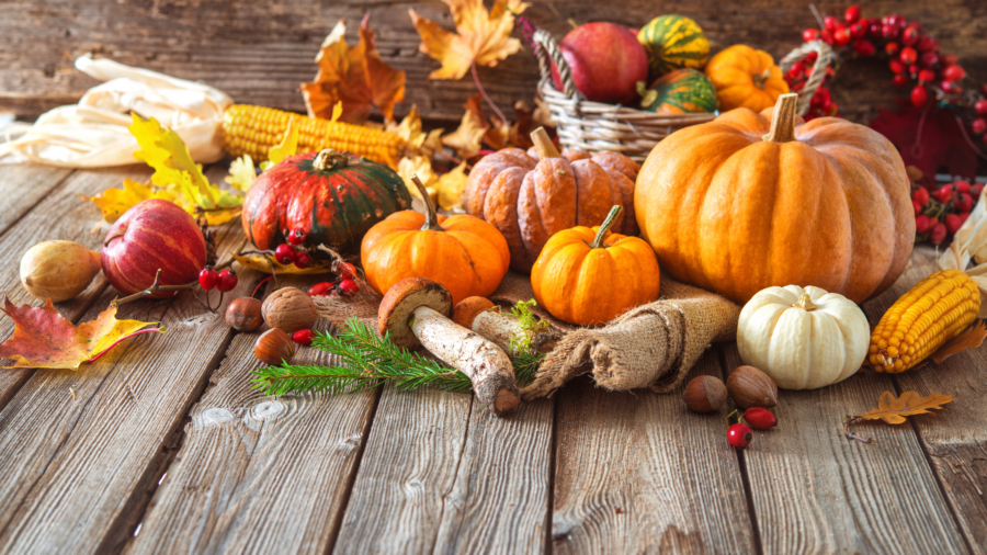 Escoge alimentos apropiados para el otoño