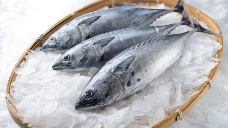Mercurio en el pescado: ¿qué precauciones debemos tomar?