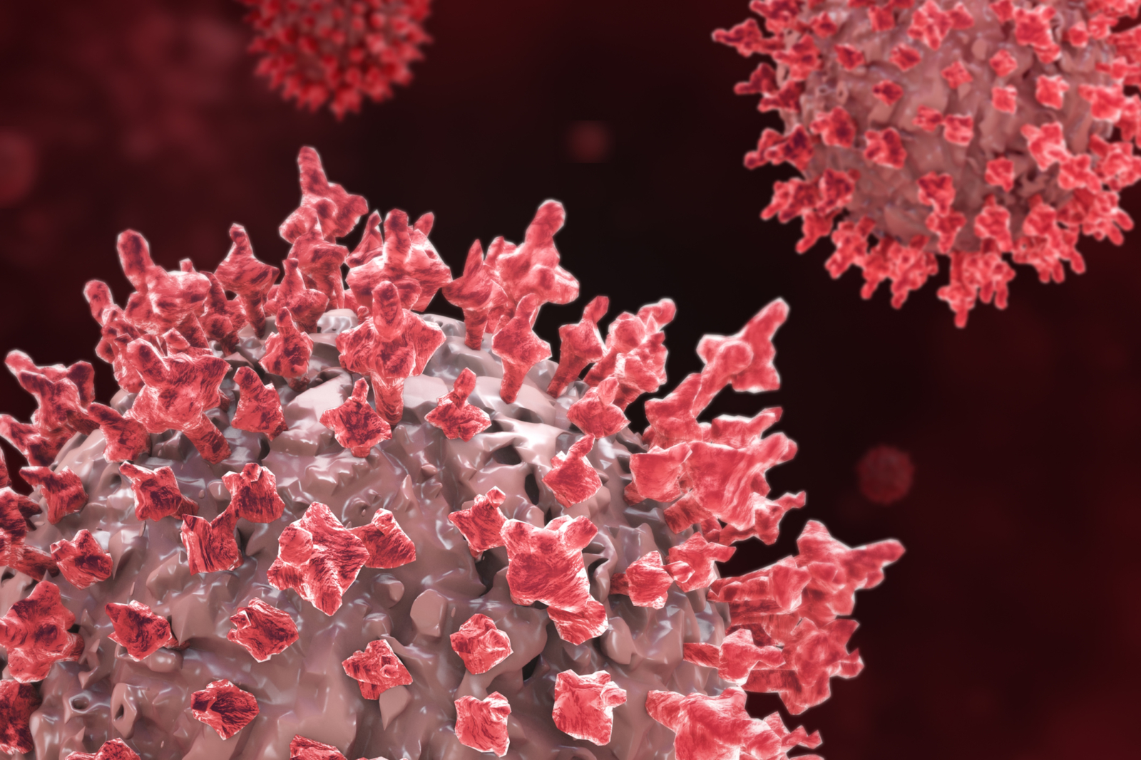 Microbiota y VIH