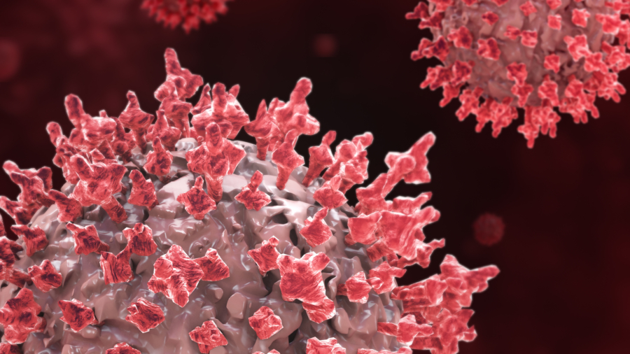 Microbiota y VIH